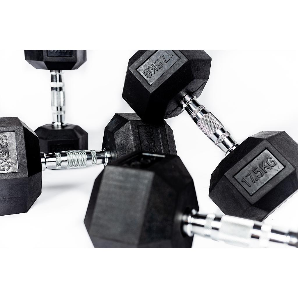 Hex dumbbell 22,5 kg  (Prime)